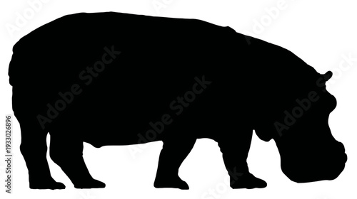 Silhouette of a large hippopotamus isolated on a white background