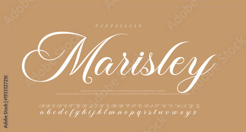 Script Brush Font Type Font lettering handwritten. vector illustration