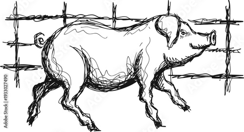 sketch of pig behind barbed wire fence farm animal drawing, rustic countryside livestock illustration