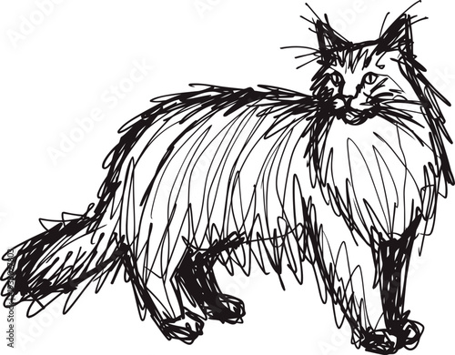Hand drawn sketch of a fluffy cat standing, black ink line art on white background, simple pet illustration
