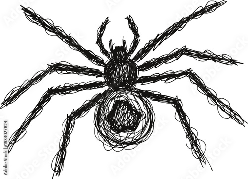 Black spider illustration with detailed legs and body in sketch style, isolated on white background
