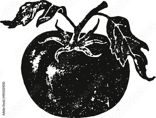 Tomato with leaves illustration vintage hand drawn fruit sketch with detailed texture