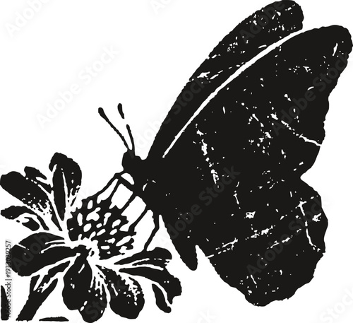 Black butterfly silhouette on flower, vintage nature illustration, insect and botanical design