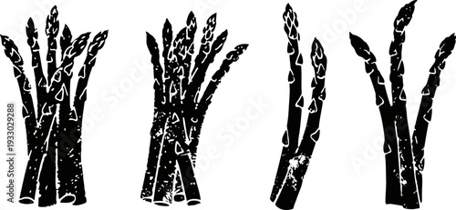 asparagus bundles with rough texture illustration, various bunches of fresh garden vegetable