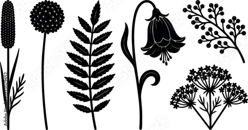 Flat silhouette botanical vector set showing fern frond bell flower allium seed spike umbel cluster and berry sprig isolated clean