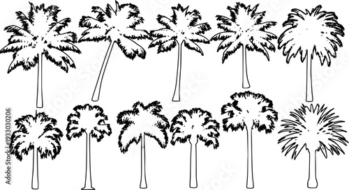 palm silhouettes vector on white background