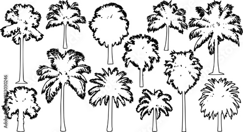 palm silhouettes vector on white background