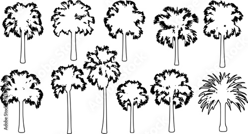 palm silhouettes vector on white background