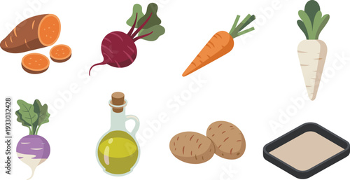 Flat vector root vegetables illustration, healthy organic food collection with carrot beet potato radish sweet potato olive oil