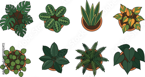 Indoor tropical houseplant collection illustration featuring decorative potted plants and lush green foliage in modern flat botanical design styleIndoor tropical houseplant 
