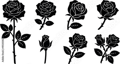 Minimalist vector rose silhouette set eight floral icons various stems buds leaves black flat design decorative vintage ornamental outline composition