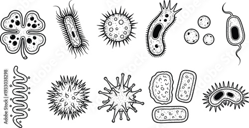 Black and white microorganism illustration set, bacteria and virus sketches, microbiology pathogens, microscopic life forms, scientific medical educational vector design