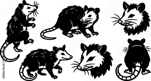 Tattoo flash opossum set showing multiple poses close up heads tail views black and white stencil vector art side back