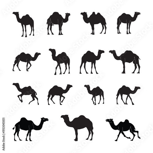 Camel Silhouette Vector Set Illustration Desert Animal Design.