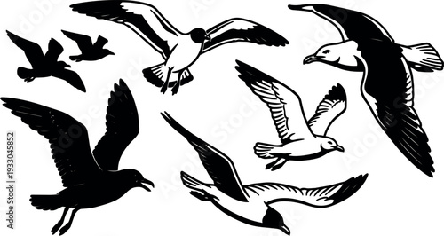 Silhouette vector close up group of seagulls flying in different poses above coastal scene high contrast bold graphic black monochrome