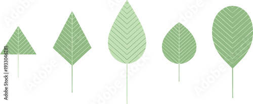 Set of five light green leaves with geometric shapes and linear patterns on white background, flat vector illustrations for nature environment and minimal organic design