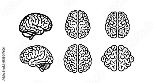Black and white illustrations of human brains in various perspectives and arrangements