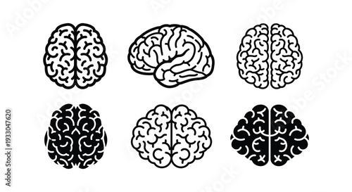 Six black and white illustrations of human brains in varying perspectives