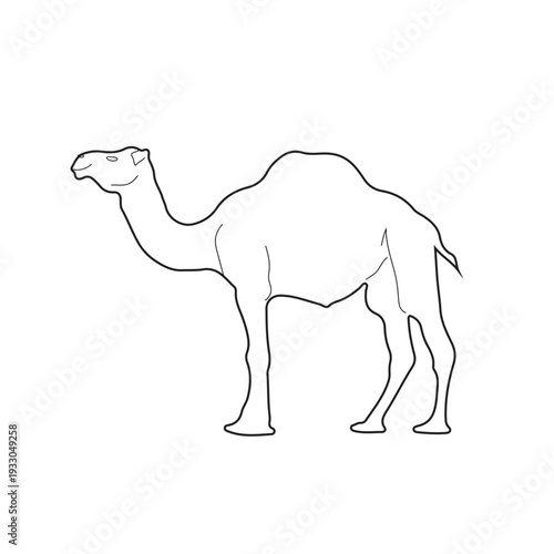Camel Silhouette Line Art Vector Illustration Design.