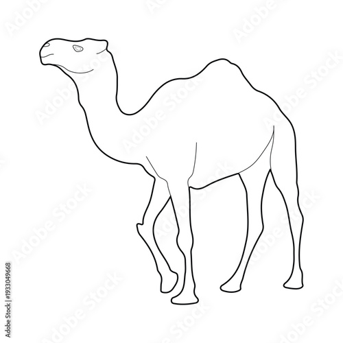 Camel Silhouette Line Art Vector Illustration Design.