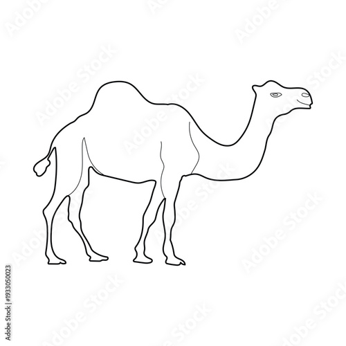 Camel Silhouette Line Art Vector Illustration Design.