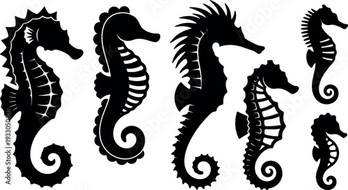 Flat silhouette seahorse vector set with six side profile designs ornamental curled tails marine icon collection bold black high contrast