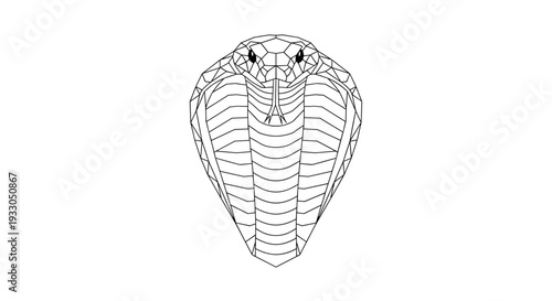 Black and White Illustration of Cockroach.