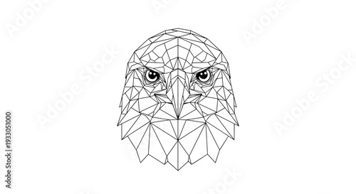 Geometric Wireframe Owl Head Illustration Design.
