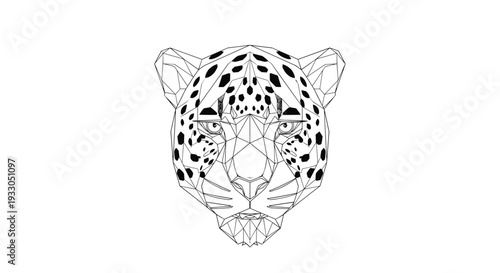 Leopard Head Illustration Detailed Line Art.
