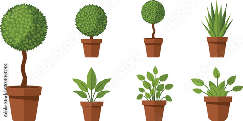 Potted Houseplant Set with Round Garden Topiary Trees, Green Succulents, and Decorative Indoor Plants in Clay Pots Illustration.