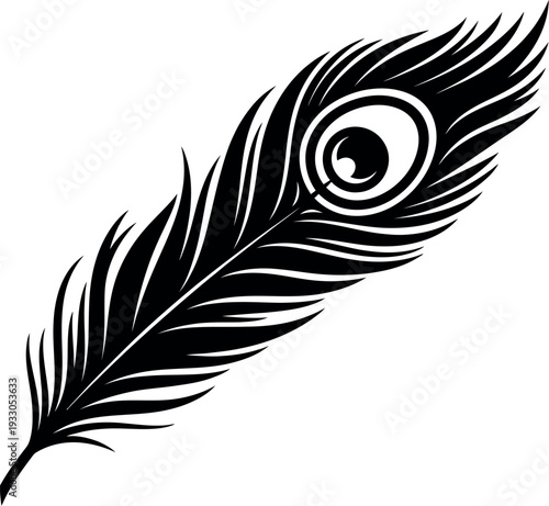 A single black and white peacock feather with intricate eye detailing.