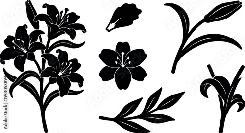 Vector lily silhouette set with close up floral stems buds petals leaves botanical elements in black flat minimalist clipart arrangement