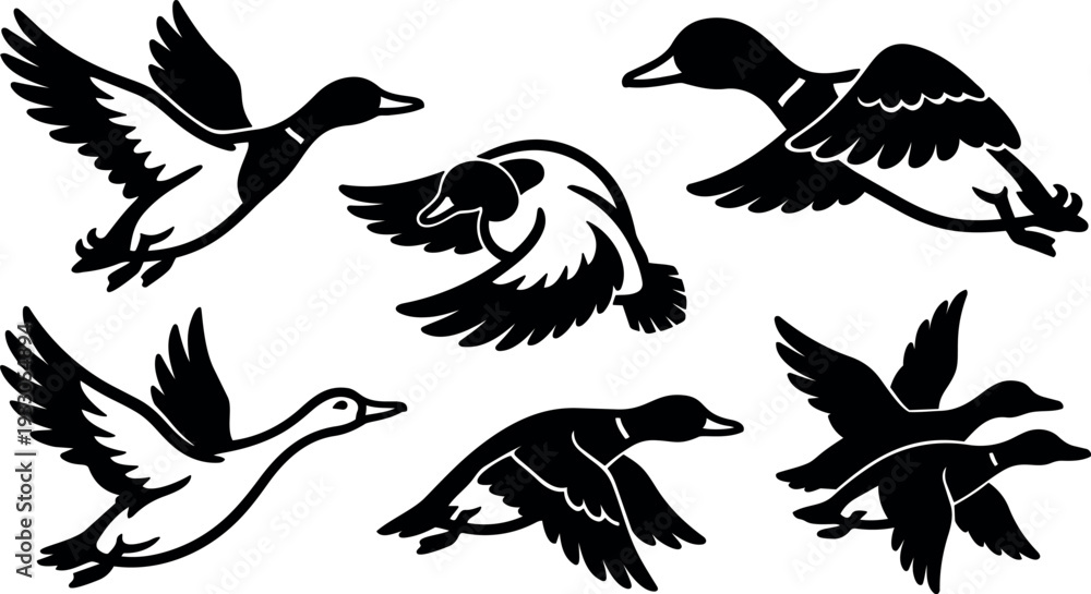 Fototapeta premium Silhouette vector of flying ducks in varied wing positions close up side view showing flock formation with bold black shapes