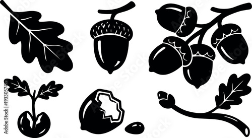 Flat design oak acorn and leaf vector set close up botanical icons black silhouette isolated arranged top view white background