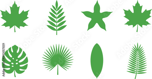 Green Leaf Silhouette Collection with Maple Monstera Fern Palm Frond and Tropical Foliage Elements for Nature Design and Eco Branding (20 words)