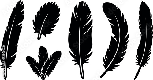 Flat design black feather silhouettes six varied feathers isolated on white background close up side view arrangement minimalist vector art