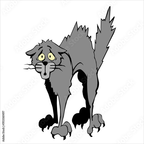 A cartoon cat stands on hind legs with shocked expression, viewed from front in a simple vector illustration.