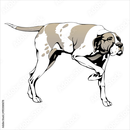 A dynamic illustration of a dog standing on one leg, showcasing its energetic stance and detailed fur patterns.
