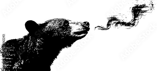 Enigmatic bear with smoke in high contrast black and white ink illustration