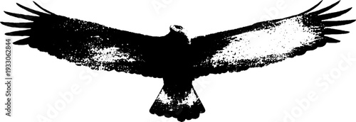 Majestic eagle with fiery flames in high contrast ink art - perfect for posters and design