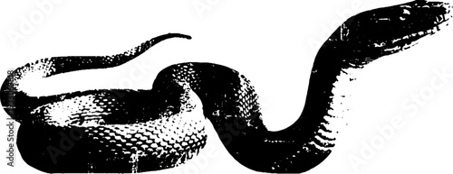 Gothic snake illustration with intricate frame design for artistic projects