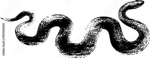 Gothic serpent in high contrast black and white ink sketch design for posters and labels