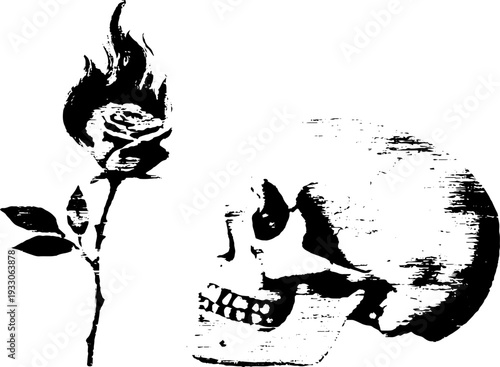 Surreal contrast: skull and burning rose ink art for gothic design