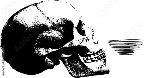 Mysterious skull with spiral portal in high contrast black and white ink - engraved artwork for dark themed designs