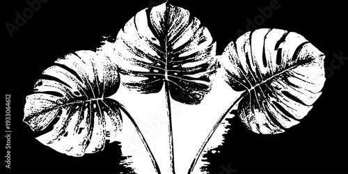 Tropical monstera leaf stencil design in high contrast for art and decor