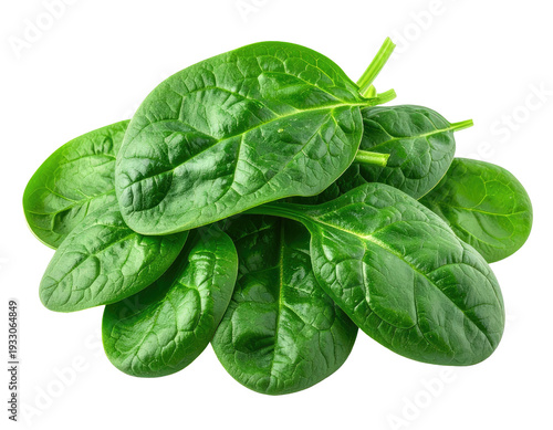 A vibrant pile of fresh, healthy green spinach leaves, glistening with dew