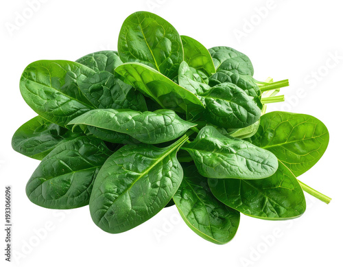 A bunch of vibrant green spinach leaves on a black background
