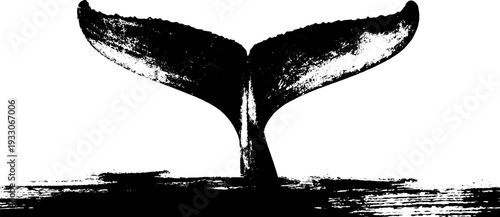Abstract whale fluke stencil design in high contrast grunge style for creative projects