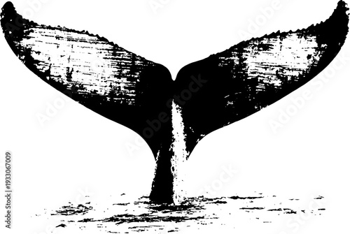 Abstract grunge whale fluke stencil in high contrast design for decor and print