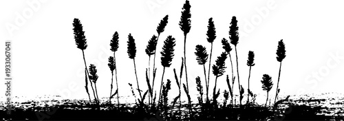 Abstract high contrast wheat awn silhouette in stencil style for nature design